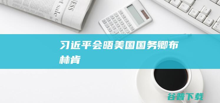 习近平会晤美国国务卿布林肯